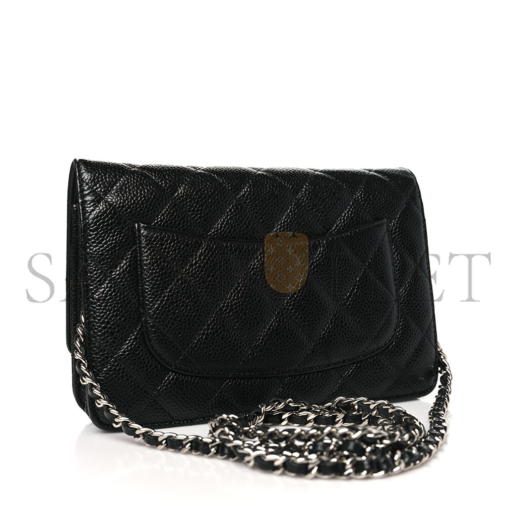 CHANEL CLASSIC WALLET ON CHAIN SILVER HARDWARE AP0250 Y01480 C3906 (19.2*12.3*3.5cm) CHANEL CLASSIC WALLET ON CHAIN SILVER HARDWARE AP0250 Y01480 C3906 (19.2*12.3*3.5cm)